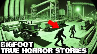 3 Hours of Truly Scary Bigfoot Encounters | BIGFOOT Documentary 2025 | Vol. 331 | #bigfoot 2025