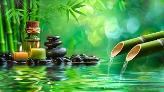 Zen Relaxing Music - Bamboo, Meditation Music, Calm Music, Nature Sounds