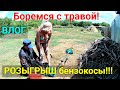 VLOG ●Косим траву. Разыгрываем бензиновый триммер KROFF!!!