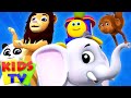 Going To The Zoo | Bob The Train | Video For Children | Kindergarten Nursery Rhymes For Babies