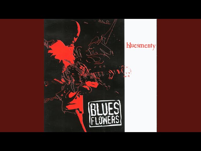 Blues Flowers - Szczypiorek blues