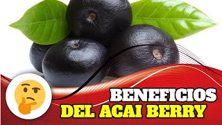 BENEFICIOS  DEL ACAI BERRY:  ¿Conoces los beneficios de la baya Acai?