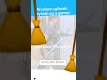 son deyqə Aynurə Zeynalova