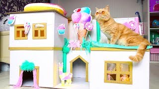 RESCUE  an abandoned CAT and Build a house for CATS  from Cardboard 