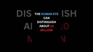 Fun Fact: Human Eye #motivation #science #life #facts #discover #fun #quotes #knowledge