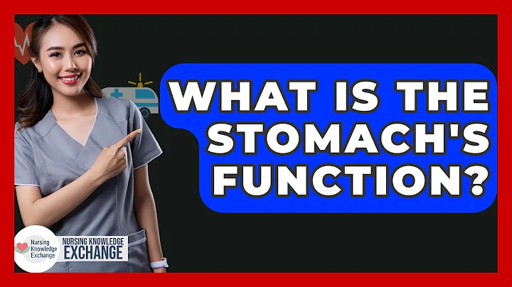 What Is The Stomach's Function? - Nursing Knowledge Exchange