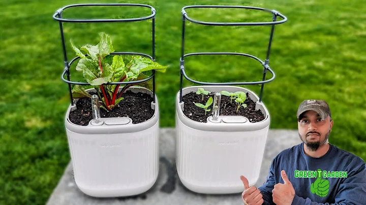 Vego Garden Self Watering Mini Planter with Trellis #vegoplanter #vegogarden #greentgarden