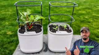 Self Watering Mini Planter with Trellis #vegoplanter #vegogarden #greentgarden