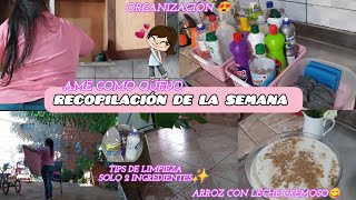 Arregle mis productos de limpieza/postre de domingo/Ahora solo limpio así el piso☺