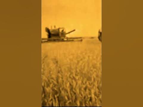 КАК ЦЕЛИНУ ПОДНИМАЛИ#астана #целина#zagadkiistorii # ...