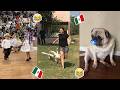 🚨 HUMOR VIRAL MEXICANO 😂 (SI TE RIES PIERDES) | EL NEZY