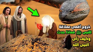 ماذا فعل النبي ﷺ مع أفعى عملاقه انتظرته 1000 سنة ! وماذا حدث أمام قبر والدتة ؟ وكيف رأى النبي الله ﷻ