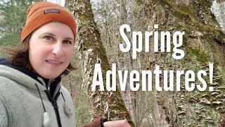 Famous New Spring Adventures! Net Worth