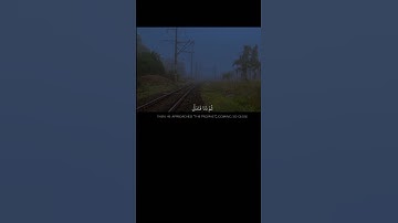وَالنَّجْمِ إِذَا هَوَى،ما ضل صاحبكم ||تلاوة خاشعة بصوت الشيخ يوسف الصقير 💗🌿