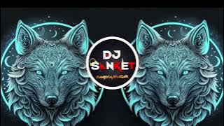 ENTRY_ APLI_DHADAKEBAJ × REMASTERED|EDM DROP MIX|BIRD HORN MIX|DJ SANKET SAMBHAJINAGAR.|