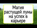 Магия растущей луна на успех. | Тайна Жрицы |