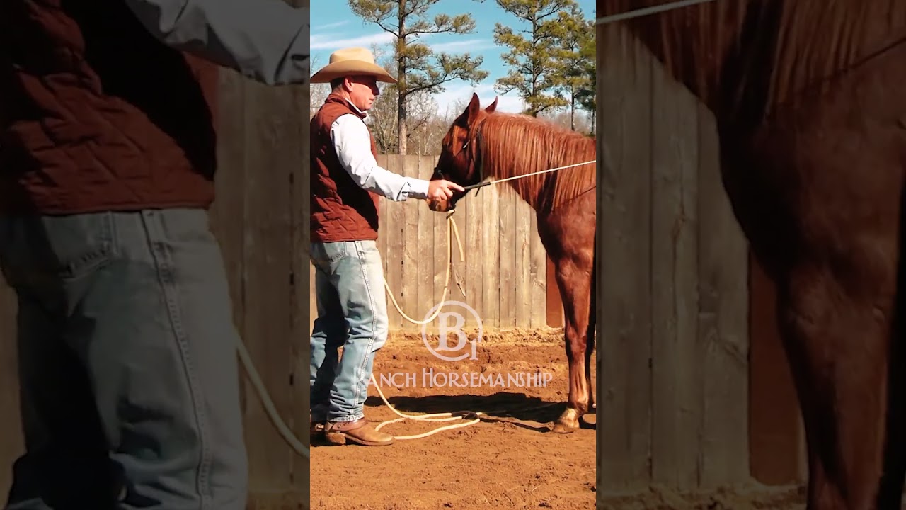 ES20 Colt Starting with Neches Day 1.6