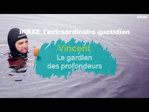 INRAE, l’extraordinaire quotidien - Vincent, le gardien des profondeurs