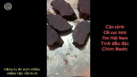 CẬN CẢNH CĂT CỤC SƯA TÍM HẢI NAM 1000 NĂM TUỔI ĐẶC DẦU CHÌM NƯỚC - 黄花梨 - Dalbergia tonkinensis Prain