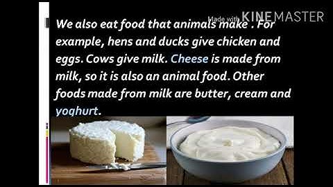 Class 3 Ch 9 FOOD FROM PLANTS AND ANIMALS Reading session  4 by Aarushi Jain