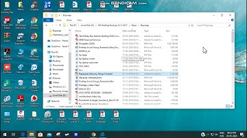 How to Solve - When i will open PDF file its Automatically Closed in few seconds