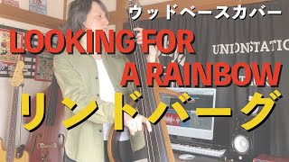 Looking For A Rainbow  