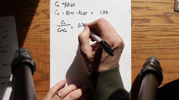 The newsvendor model