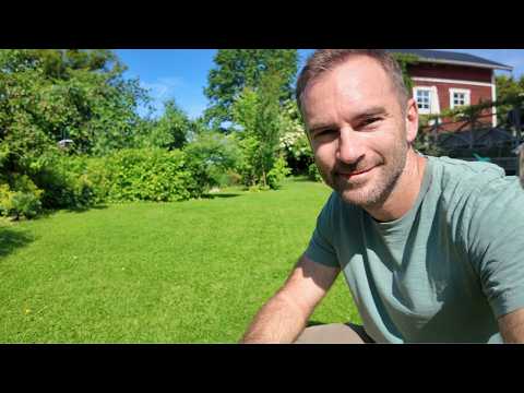 Hur jag sköter gräsmattan när det är varmt på sommaren