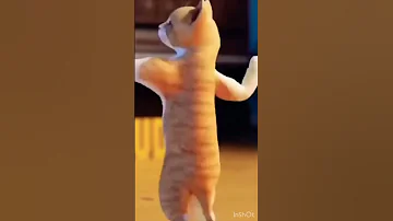 فطوم فطوم فطوم 