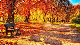 Download lagu 고엽(Autumn Leaves) :1 이브 몽땅(Yves Montand) ,  2 Roger Williams, 3 Andy Williams, 4 Richard Clayderman