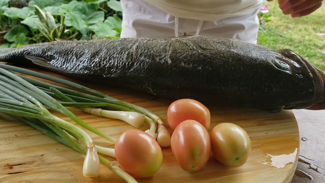 Outdoor Cooking  |This is How I  Clean and Cook  Huge Bass Fish #wildcaughtfish  #fish #cooking