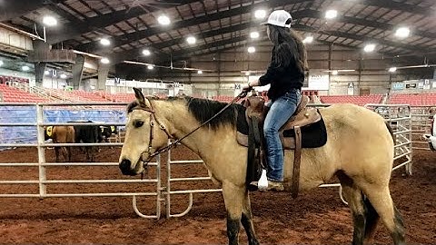Chasing Tags l Ranch Sorting Fun Night