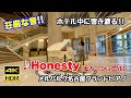【ストリートピアノ】荘厳な音!! ホテル「メルパルク名古屋」の純白グランドピアノで『Honesty(ビリージョエル)』を弾いたら、ホテル中に響き渡りました!! ピアノ男子【4K HDR】