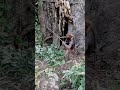 في كل مرة أ نام ا أقتر شكلا غير مهوم في كل مرة أ نام ا أقتر شكلا غير مهوم