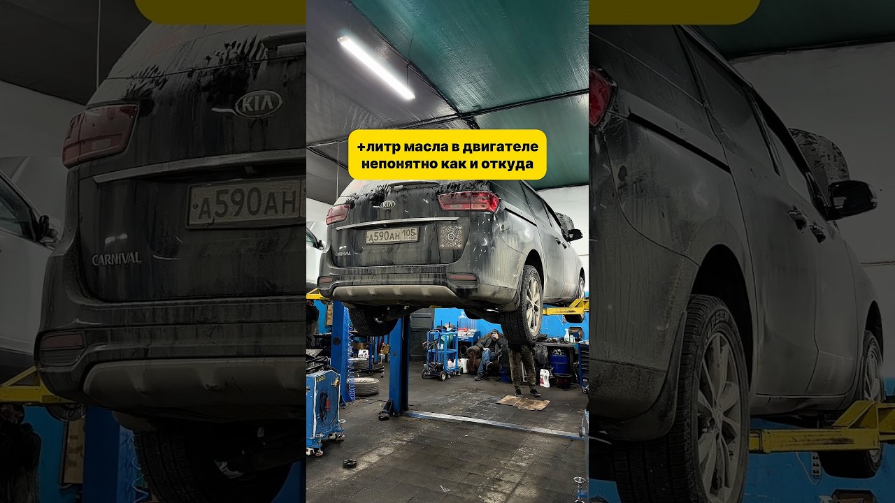 Действительно капризные двигатели у Карнивалов?