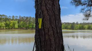 Fishing Lake Tombigbee