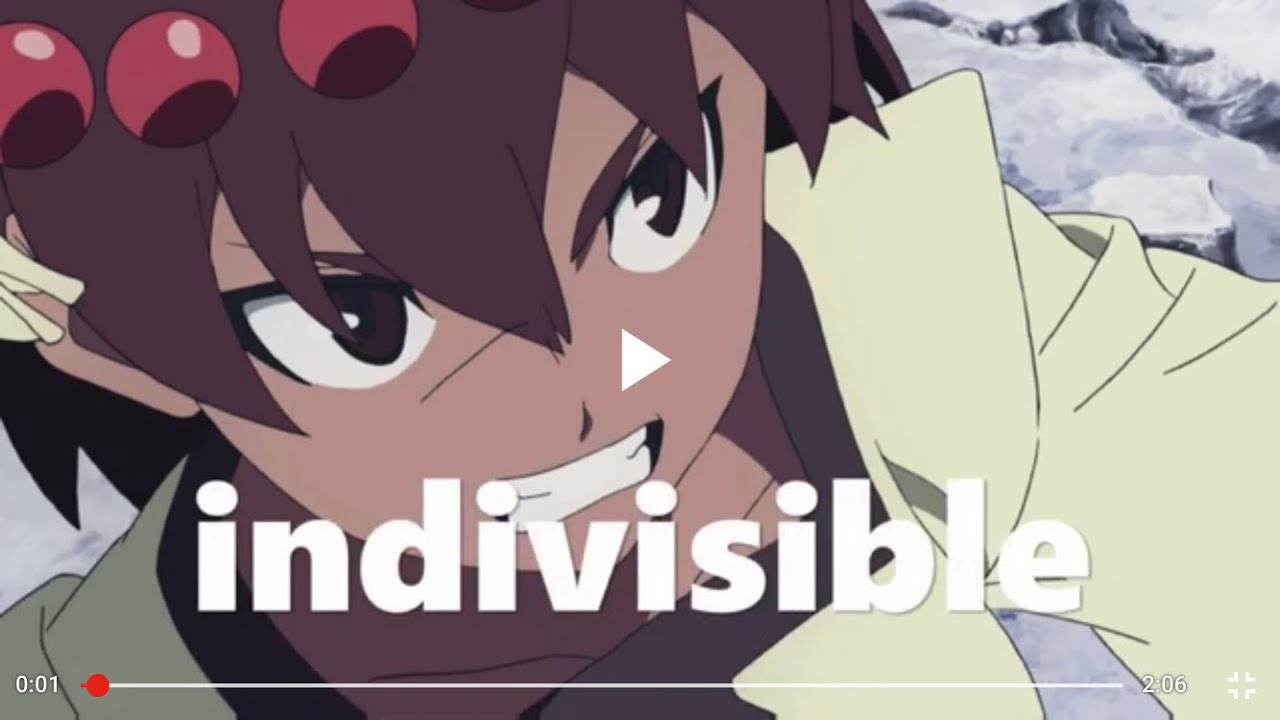 indivisible op
