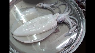 Best South Pattaya Tai Road Meat Seafood Bugs Day Night Market Butcher Thailand Street Food