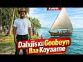 Gobweyn Koyame GeediSahan Somalia Subscribe Like Youtubealgorithm Travel Travelvlog Duet