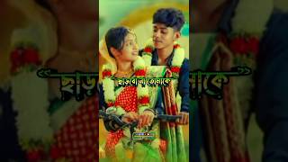 Sofiker Tiktok Video Palligram Tv Video Tonier Tiktok Video Sofiker New Video Toni New Video