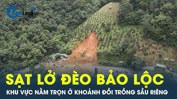 Sạt lở đèo Bảo Lộc: Địa phương nói gì về vườn sầu riêng giữa khu đất trồng rừng? | CafeLand