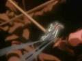 Wherever you will Go - The Calling (Anime - Escaflowne)