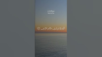 Surah An-Nas سُورَةُ النَّاسِ  #alquran #القرآن #القرآن_الكريم #quran القارئ #محمد_صديق_المنشاوي