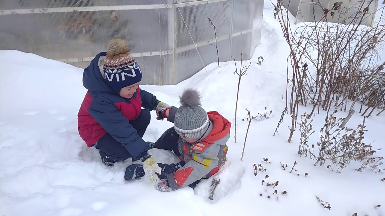 Репка на современный лад
