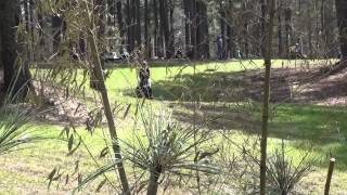 Lauren Kieffer & Meadowbrook Scarlett Carolina International 3 Star CIC March 2015