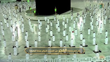 هكذا فليكن الإبداع | فجرية للتاريخ للشيخ بندر بليلة من سورة يس | 15-6_1442