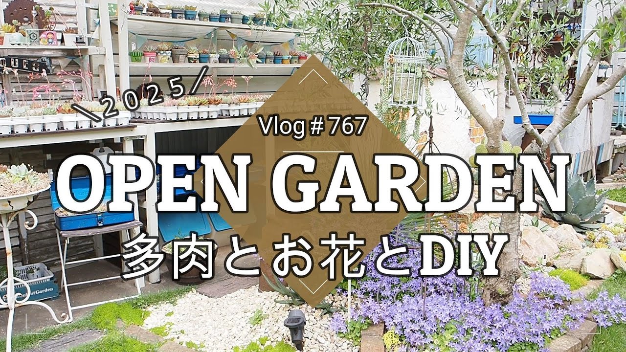 【Vlog767】【多肉植物】年に１度の特別企画👩‍🌾ようこそオープンガーデン！多肉とお花とDIYすべて見せますスペシャル２０２５【ガーデニング】