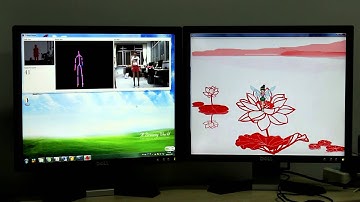 Kinect HCI Application: Lotus