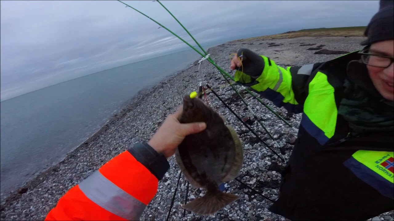 Brandungsangeln auf Fehmarn Westermarkelsdorf und Niobe