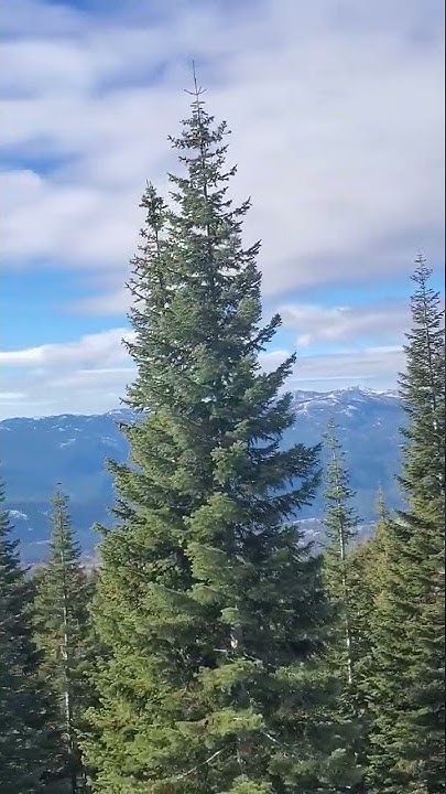 Kylie Morgan I Only Date Cowboys Lyrics I only date Cowboys Kylie Morgan. Mt Eddy Siskiyou County. - YouTube